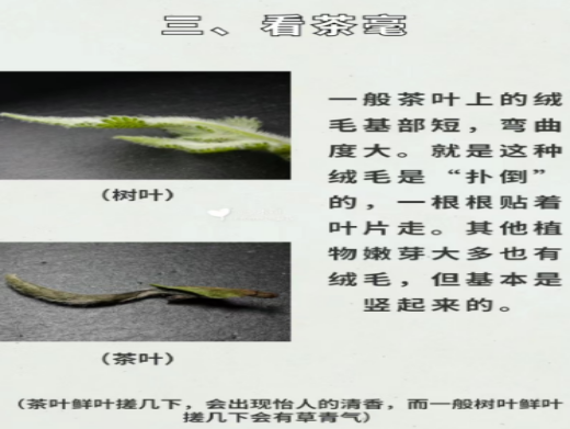 C:/Users/Administrator/Desktop/图片5.png图片5