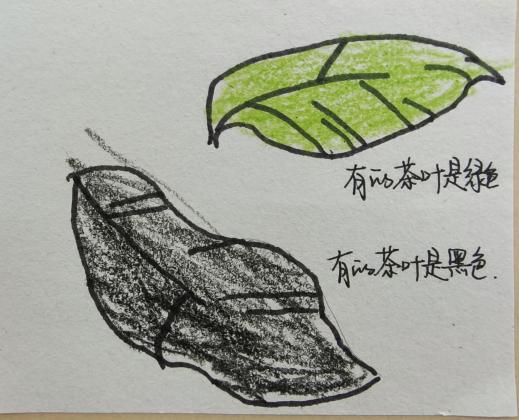 C:/Users/Administrator/Desktop/微信图片_20250609194453.jpg微信图片_20250609194453