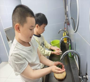C:/Users/Administrator/Desktop/茶与四季/蒲公英茶/微信图片_20250429214224.jpg微信图片_20250429214224