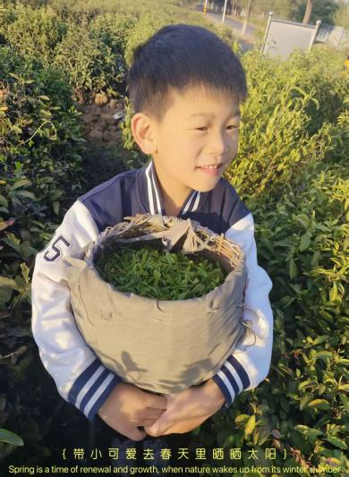 C:/Users/Administrator/Desktop/微信图片_20250617194518.jpg微信图片_20250617194518