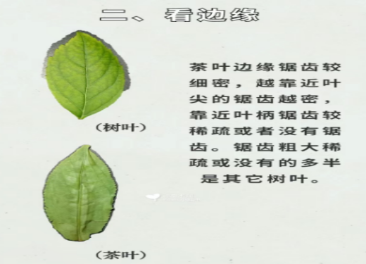 C:/Users/Administrator/Desktop/图片4.png图片4