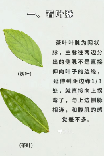 C:/Users/Administrator/Desktop/图片3.png图片3